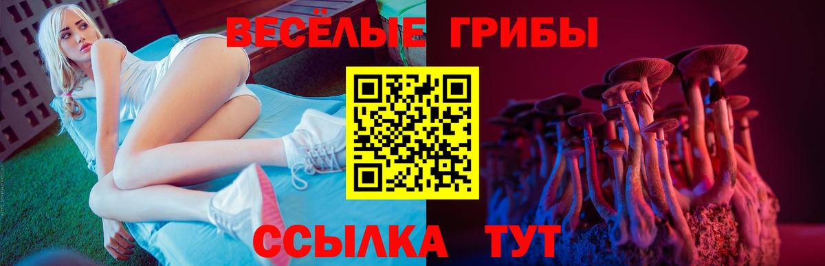 Каменка  Псилоцибиновые грибы Psilocybine cubensis  Галлюциногенные грибы прущие грибы  Вход с VPN 